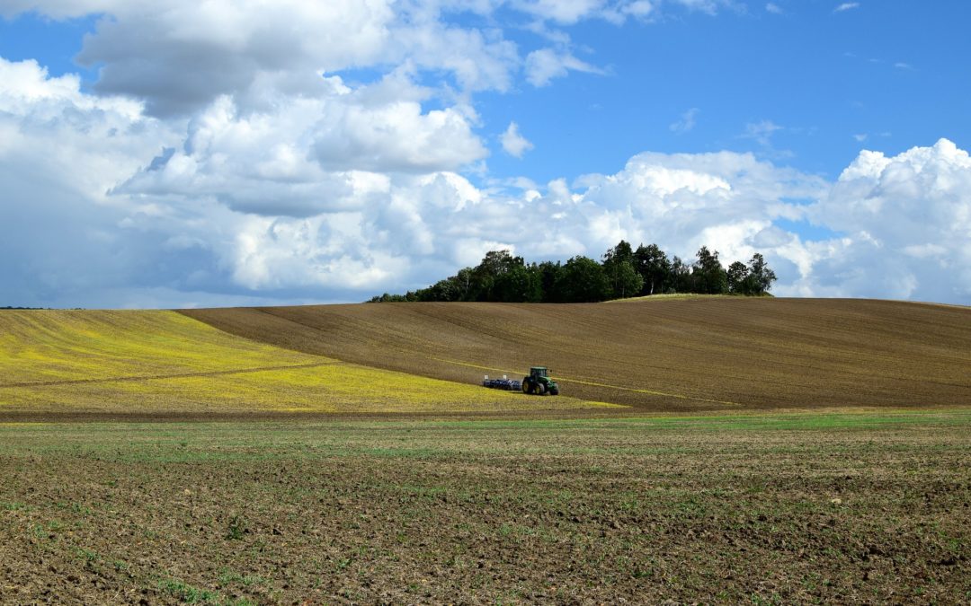 Polski Ład – na co mogą liczyć rolnicy?